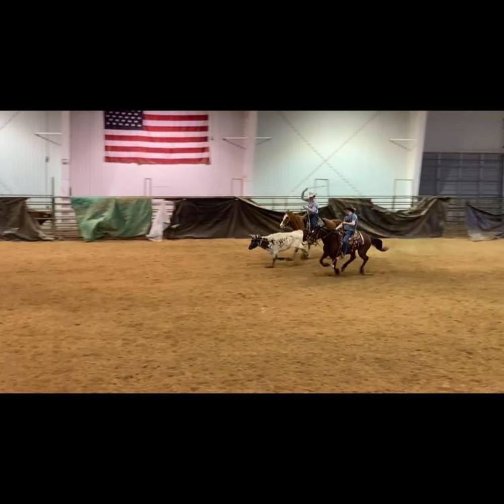 Meet your Posher, Owen